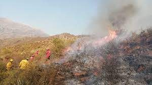 Incendio forestal provocado en Paruro