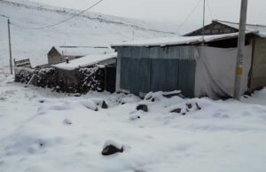 Medirán afectación por nevadas en Puno